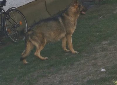 viberimage202206031125245771655108730