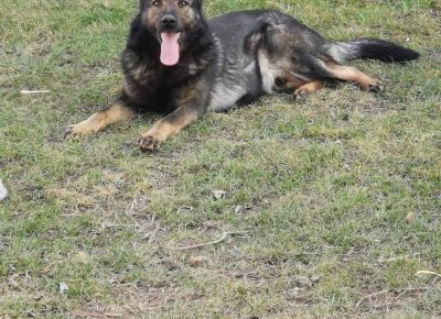 viberimage202206031125246391655108732