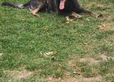 viberimage202206031125252741655108733