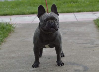 viberimage202206031432394431654373592