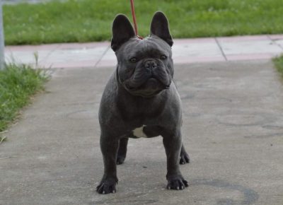 viberimage202206031432394691654373593