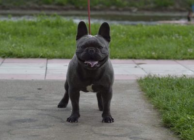 viberimage202206031432395241654373593