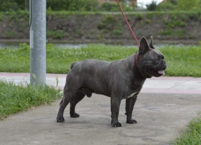 viberimage202206031432395811654373593