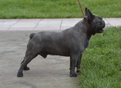 viberimage202206031432396751654373593