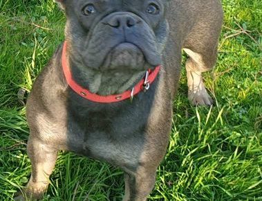 viberimage202206031438030261654449147