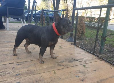 viberimage202206031438030991654449148