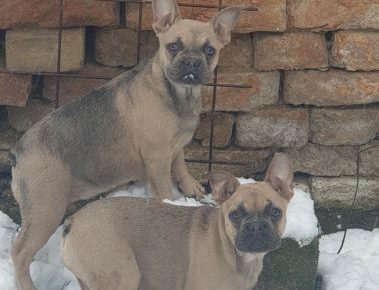 viberimage202206031438037281654449148