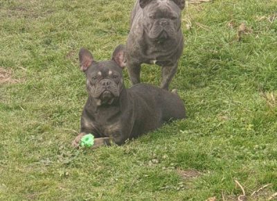 viberimage202206031438038311654449148