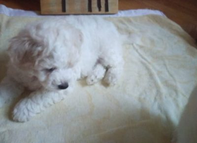 2117851171708227884208553433358630579961639n1658568636