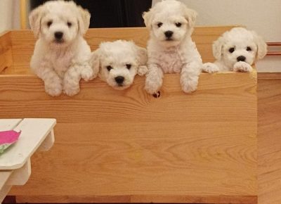 2142226535846595991891261968395002275252417n1658568636