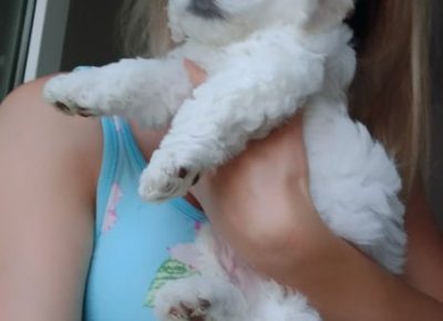 2149784195330714546034708326071315203488609n1658568637