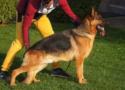 2599745489410559868279249177790251379235546n1659086445