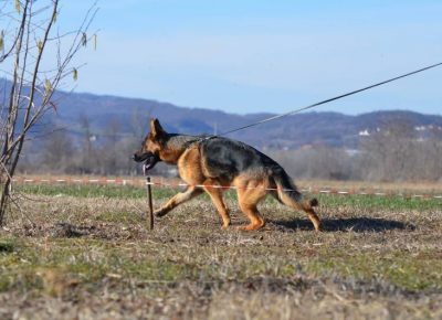 2727947366576665686937162738083912213561352n1659086446