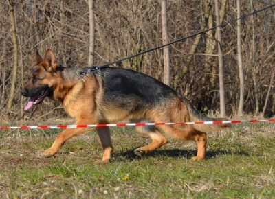 2734572562780704077300548886093246235809089n1659086447