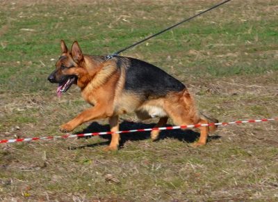 273487163626878091729710161981842370150999n1659086447