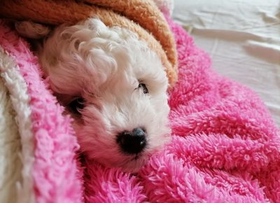 27857431850176515383565432490603619843034354n1658580694