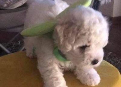 2785895134015449381395279068823768140968973n1658580693