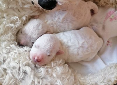 28023708928915079444749973669307050691713318n1658580695