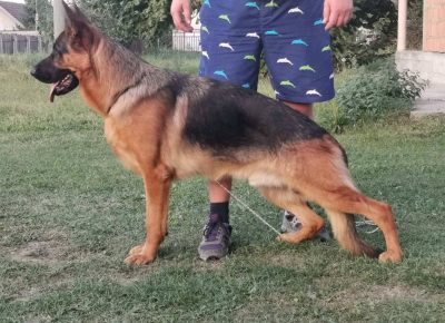 2840038655123761791048702647256350979143043n1659086446