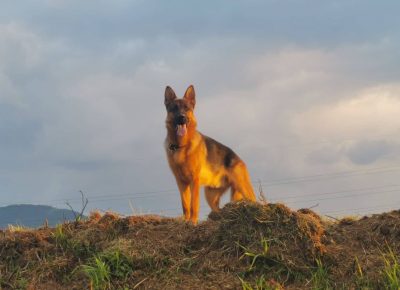 2841563515709980243674617495714017673578200n1659086447