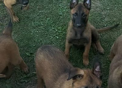 2857983844536713465235457109666502829079044n1658909628