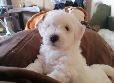 2873165713682261654095492878423639524142627n1658580695