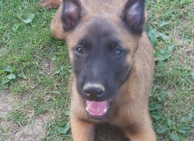 287361150738116187436167685663572479497597n1658909629