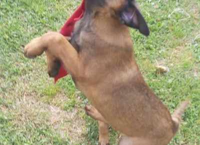 2878650995920961255230628534754334824094190n1658909628