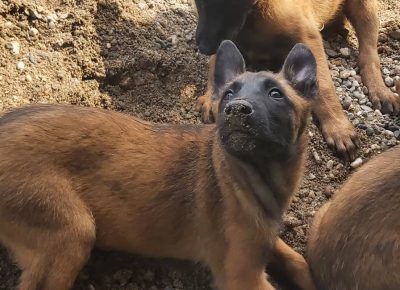 2882845007419017736682628276555860249031175n1658909630