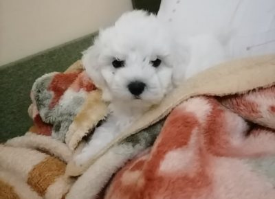 28831422226984118036233201035056448257279124n1658580693