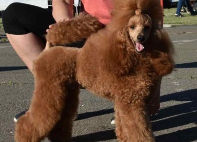 2903039155773191973257191366855268504686278n1656703857