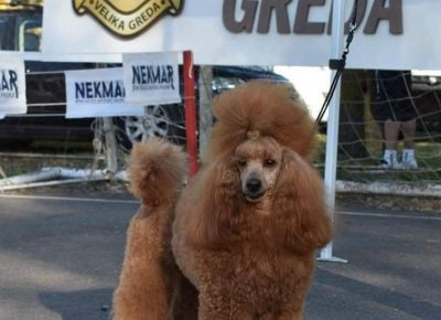 29081770256220165678227064416933051845107089n1656703857