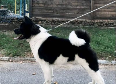 2913306047533984860037886680135166001006914n1657627428