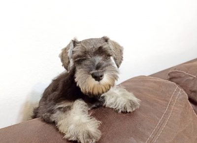 2915854757800232163554098658778509709802350n1658784059