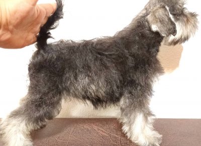 2919520173474064442630723986534370425123213n1658784058