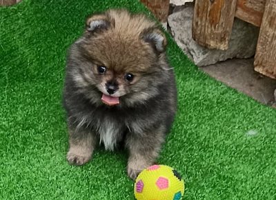 2919979357147535264873427895778642371489525n1658786151