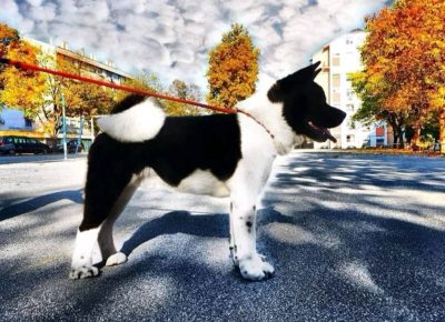 29226840014472670024030017690848398703408133n1657627429