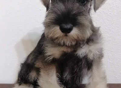 2927232876001395616825386319421802835689310n1658784059