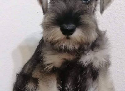 2928134477378114574910778664674477221609835n1658784058