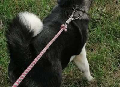 293219749450166989948377687833685171924520n1657627429