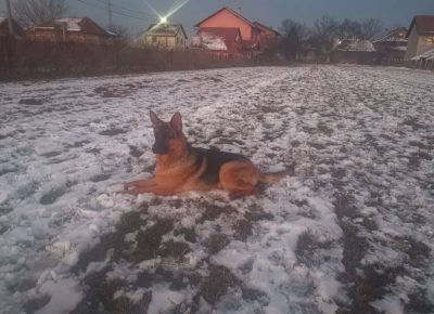 29540335922039998431027953039631459392572235n1659086448