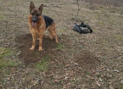 2958451556113444605933763467361360358567452n1659086447