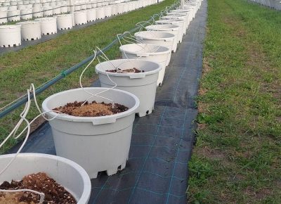 IMG8b7b32afc5f8e633ce580e1dad50645bV1657892071