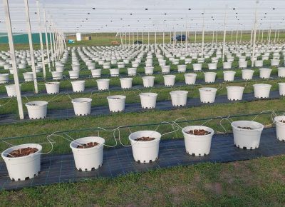 IMGa379c26937ea21c3f678ed2a41d5c753V1657892072