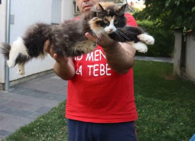 umskemace111658839918