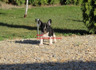 viberimage202207010735399501656714062