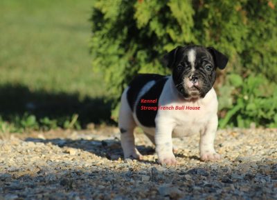 viberimage202207010735513641656714063