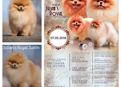 viberimage202207011831225251656789561