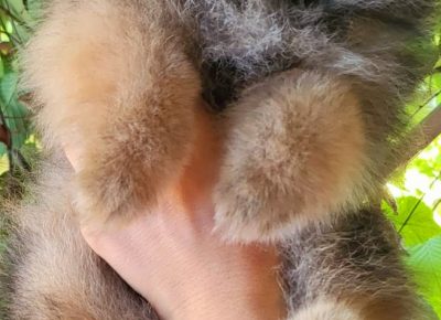 viberimage202207042156049651657114901