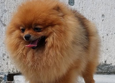 viberimage202207042204567181657114901